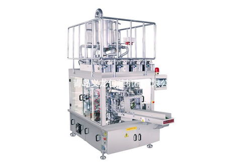 青島義龍包裝機(jī)械 YL 10ST 型給袋式包裝機(jī) 生產(chǎn)廠家、價(jià)格及電腦辦公設(shè)備租賃的綜合指南